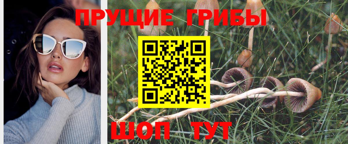 Псилоцибиновые грибы прущие грибы  Вход с VPN  Галлюциногенные грибы GOLDEN TEACHER  Еманжелинск 